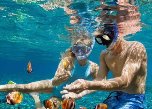 Snorkeling sur l'île Utopia