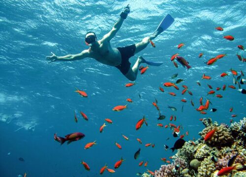 Excursion de plongée en apnée à Hurghada à Eden Island avec déjeuner