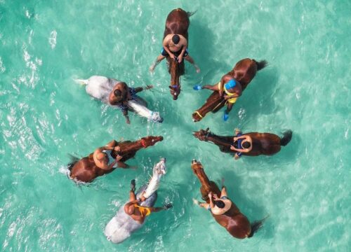Excursion à cheval dans la mer Rouge et le désert avec baignade 1 ou 2 heures